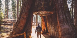 Кадър: Yosemite National Park ; ARTUR DEBAT/GETTY