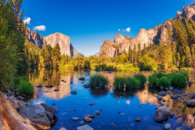 Кадър: Yosemite National Park; © ALLARD SCHAGER