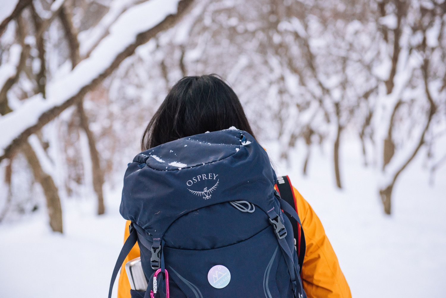 suhyeon-choi-thKVwH0Z62g-unsplash