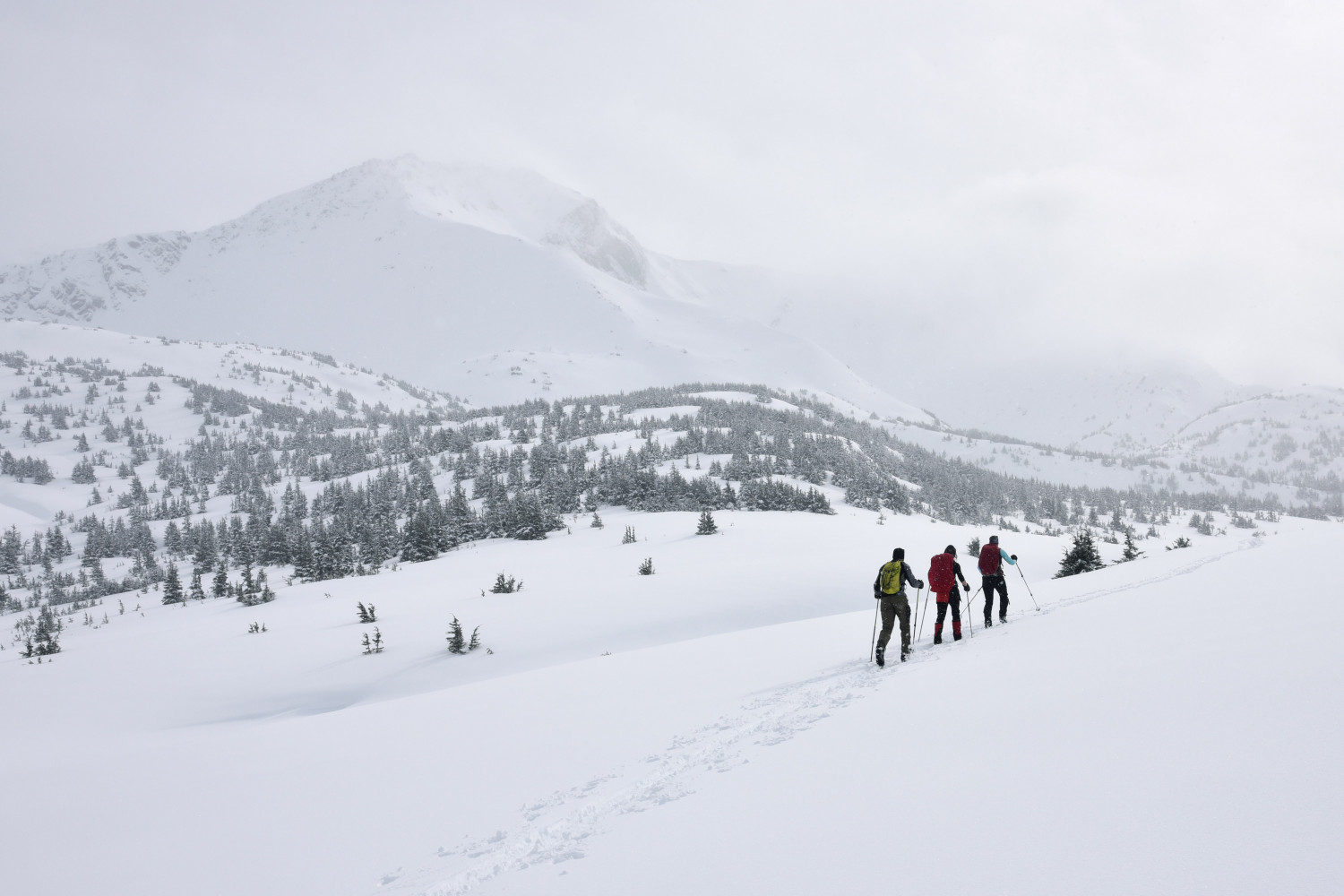 paxson-woelber-s0kuD2Rw3nk-unsplash