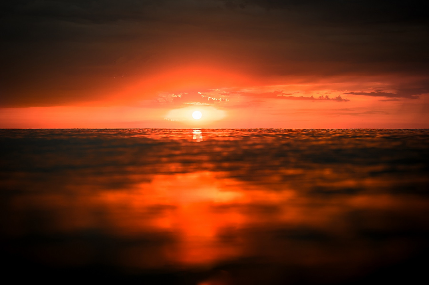 photo_Ivaylo Danailov