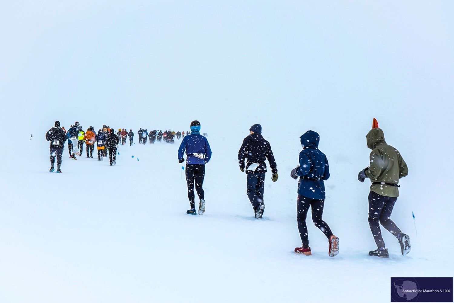 Antarctic Ice Marathon 