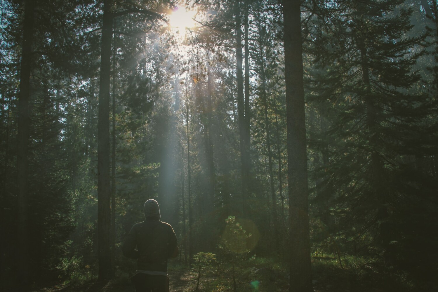 Ходене в кръг