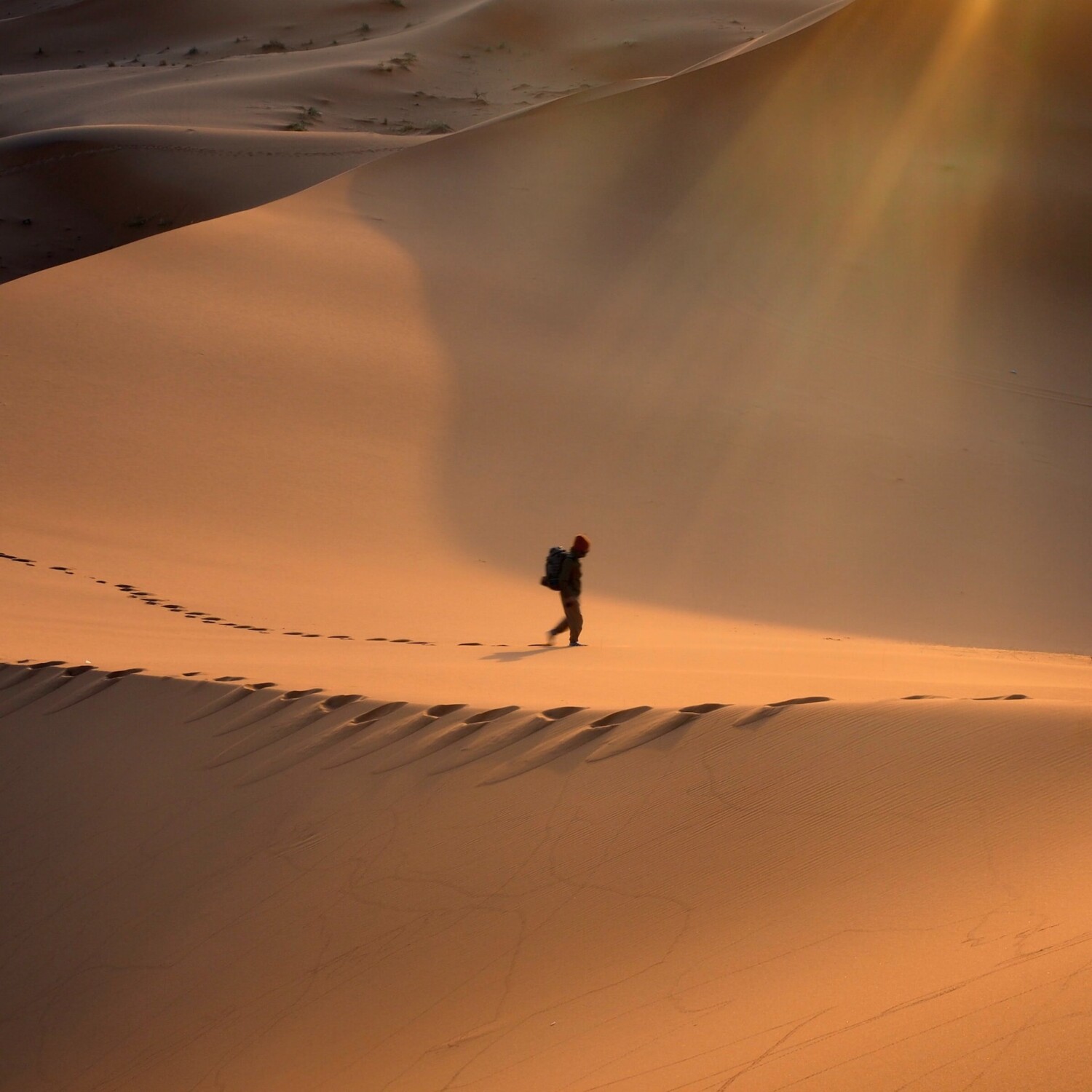 Ходене в пустинята