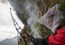 Естествени наркотици: луд мед