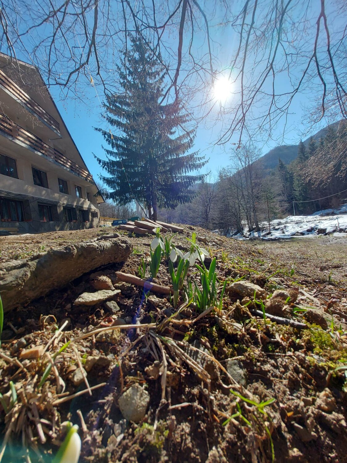 Хижа Пробойница