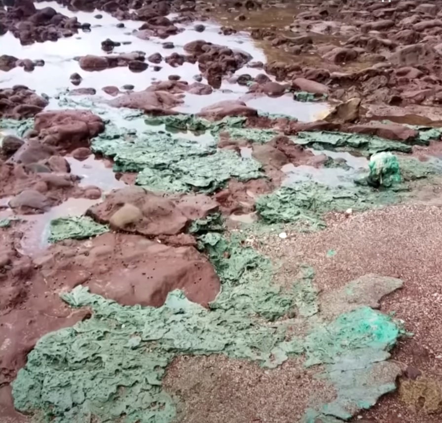 "Плажът на костенурките" е покрит с "пластмасови скали"