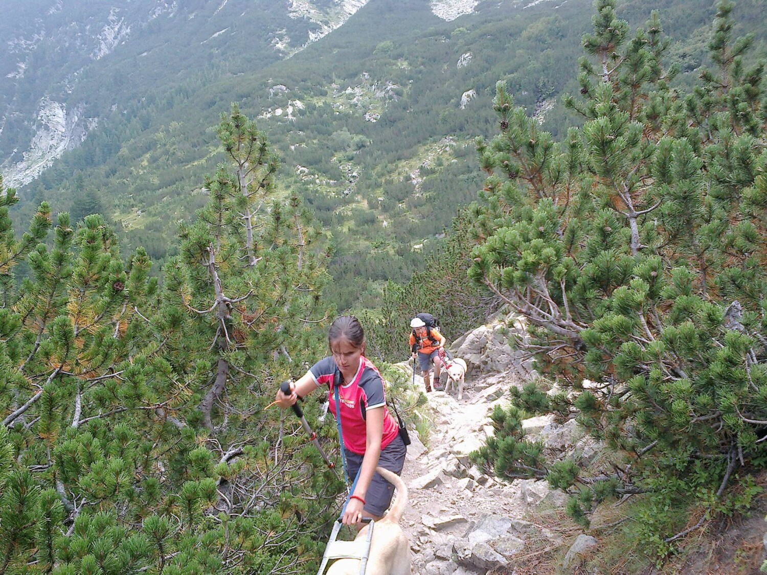 Виктор и Калина в планината с техните кучета водачи
