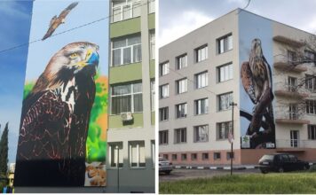Графити на царски орел и ловен сокол, Стара Загора