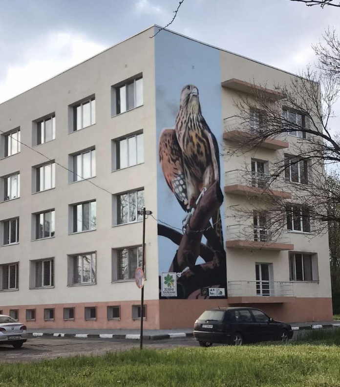 Ловен сокол, графит на сградата на Гимназията по ветеринарна медицина, Стара Загора