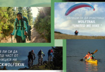 Wolftrail “United we hike”