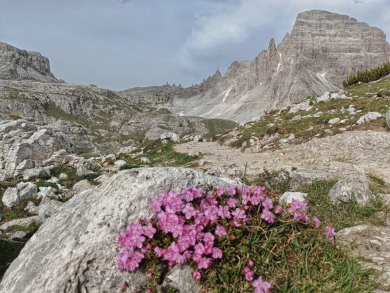 Tre Cime di Lavaredo