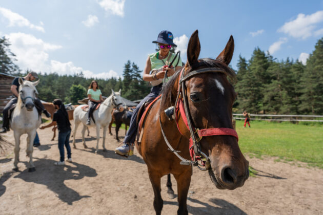 Wolftrail “United we hike” 2023