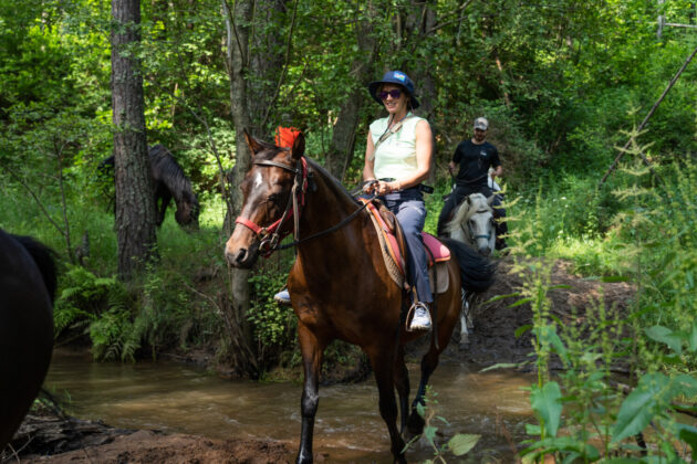 Wolftrail “United we hike” 2023