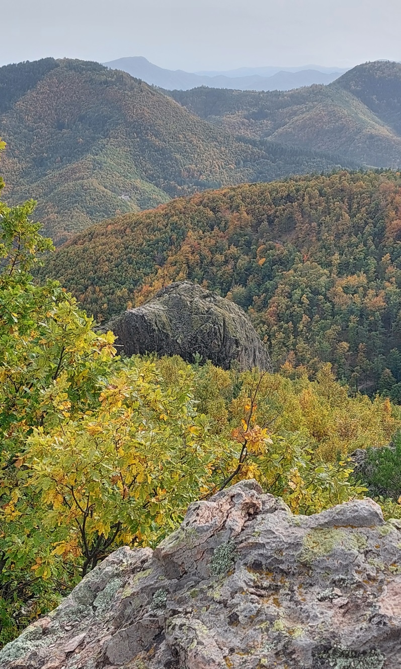 Саръташ Каяли (Жълт камък)