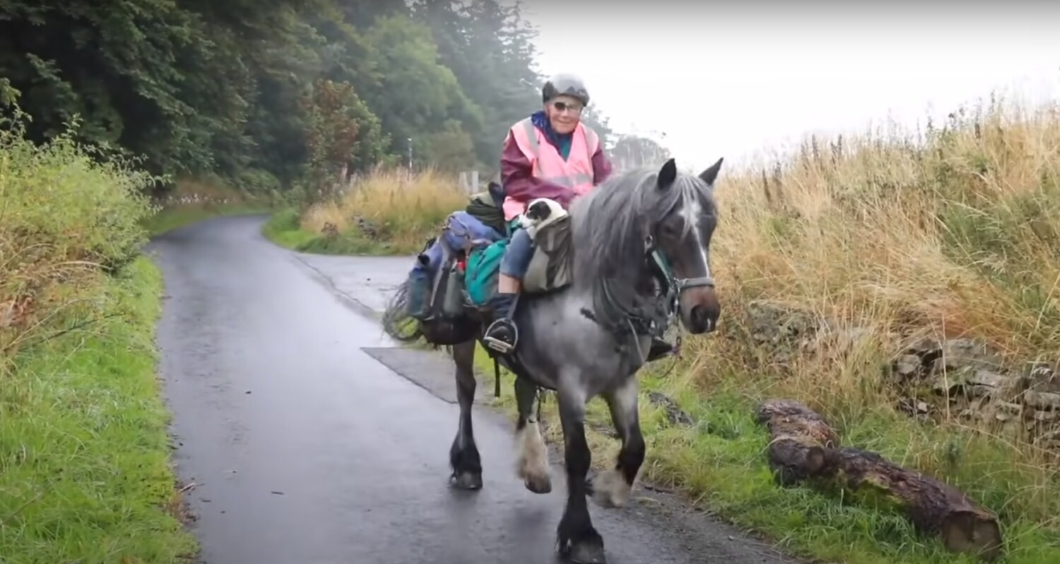 82-годишна пенсионерка Джейн Дотчин язди пони 1000 км всяка есен с куче в дисагите и спи в палатка