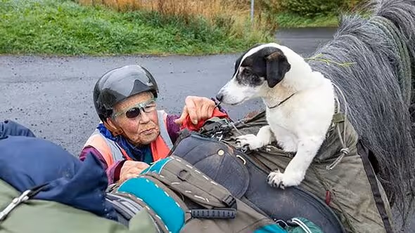 82-годишна пенсионерка Джейн Дотчин язди пони 1000 км всяка есен с куче в дисагите и спи в палатка