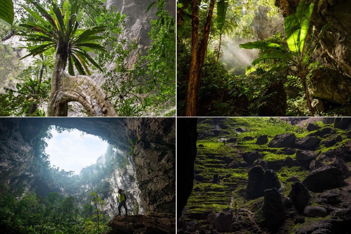 Екосистема: Най-голямата пещера в света Ханг Сон Донг (Шондонг)