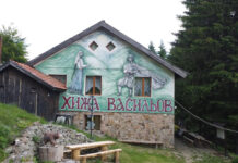 Хижа Васильов
