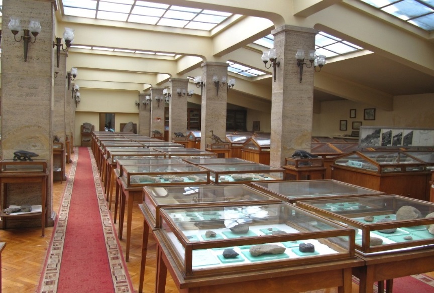 Експонати в Музея по палеонтология