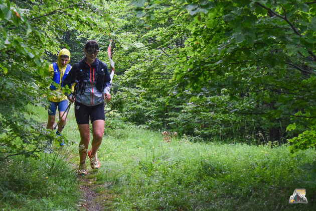 Triglav Skyrun