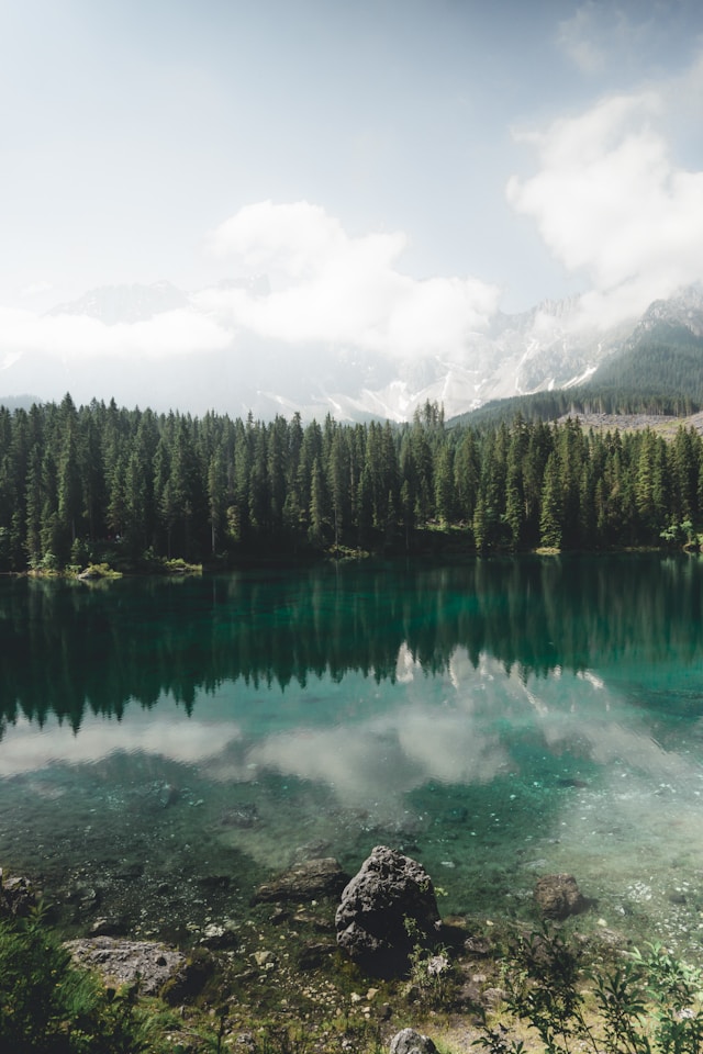 1 carezza Clement Simon Unsplash