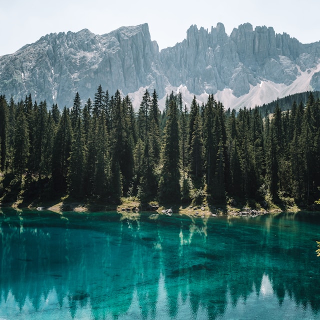 1 carezza Federico di Dio-photography Unsplash