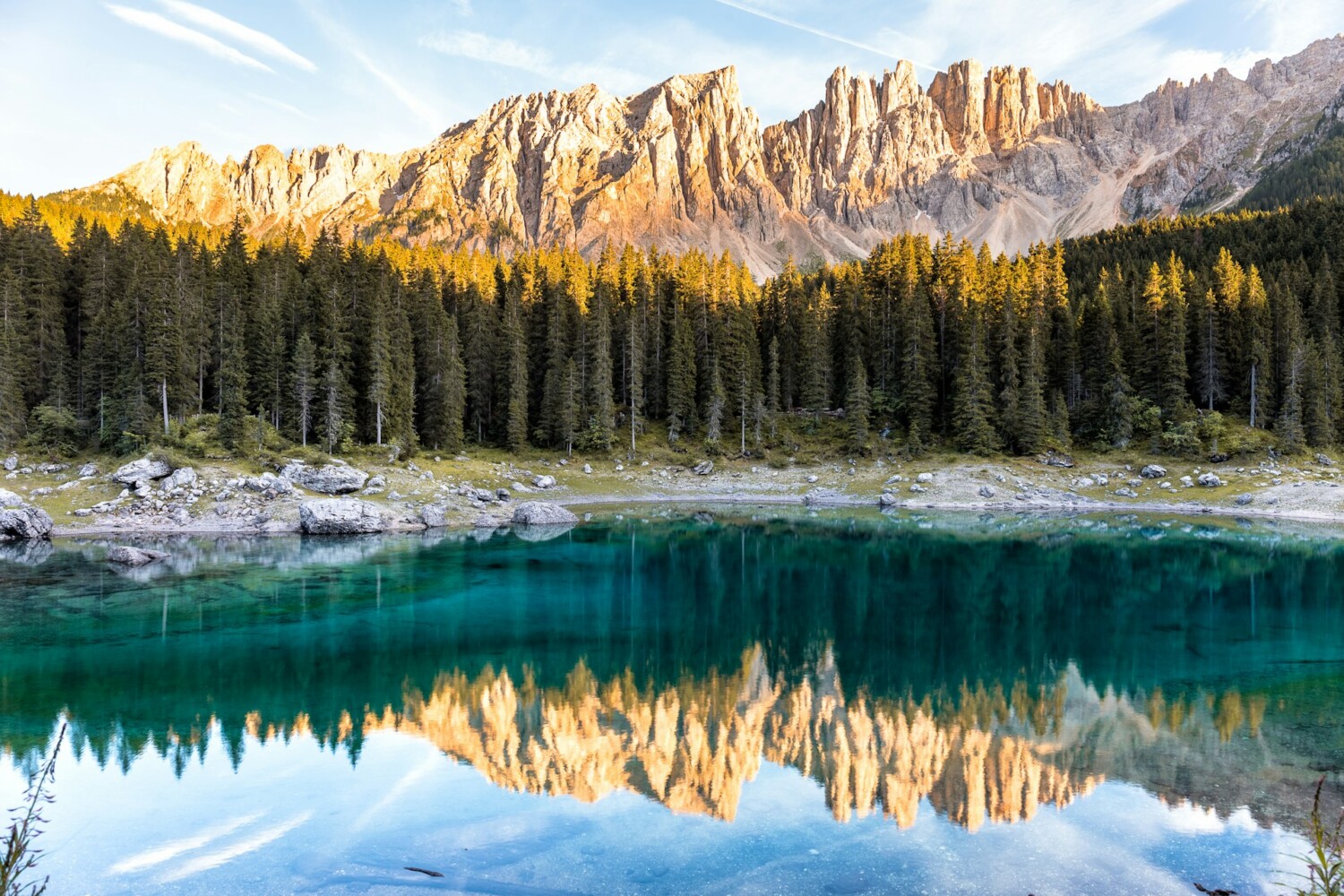 1 carezzaRriccardo Chiarini-Unsplash