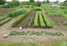Биопрограма