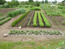Биопрограма