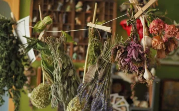 Билките и техните полезни свойства: Респираторни проблеми Билките