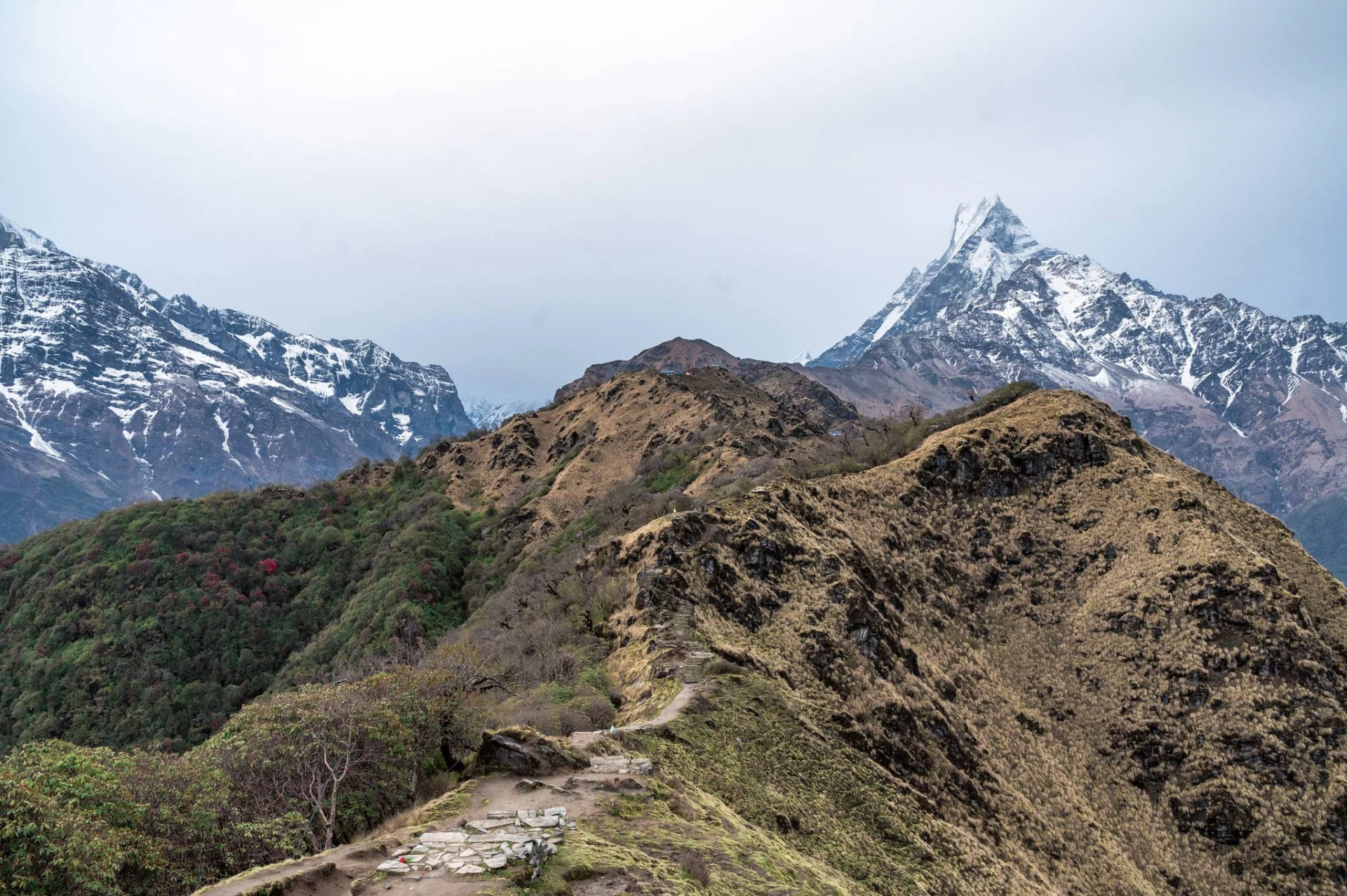 По трасето на Himalayan XTRI