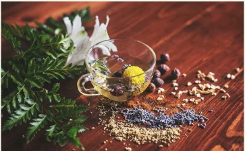 Билките и тяхното естетическо приложение Билките и тяхното естетическо приложение