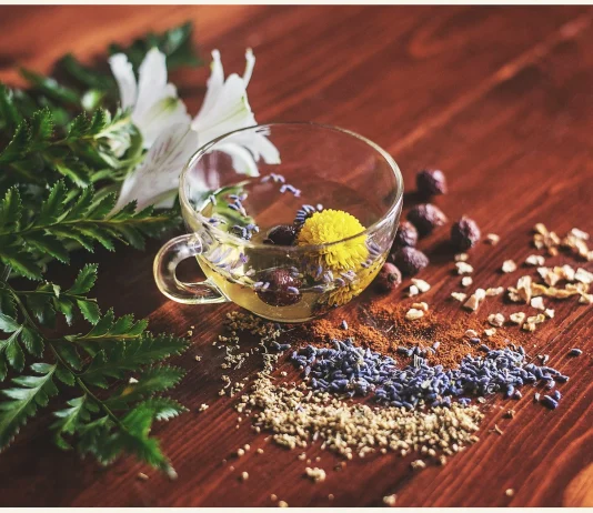 Билките и тяхното естетическо приложение Билките и тяхното естетическо приложение