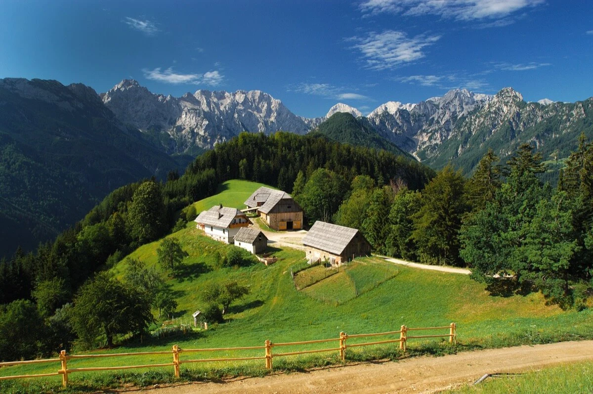 Панорамният път