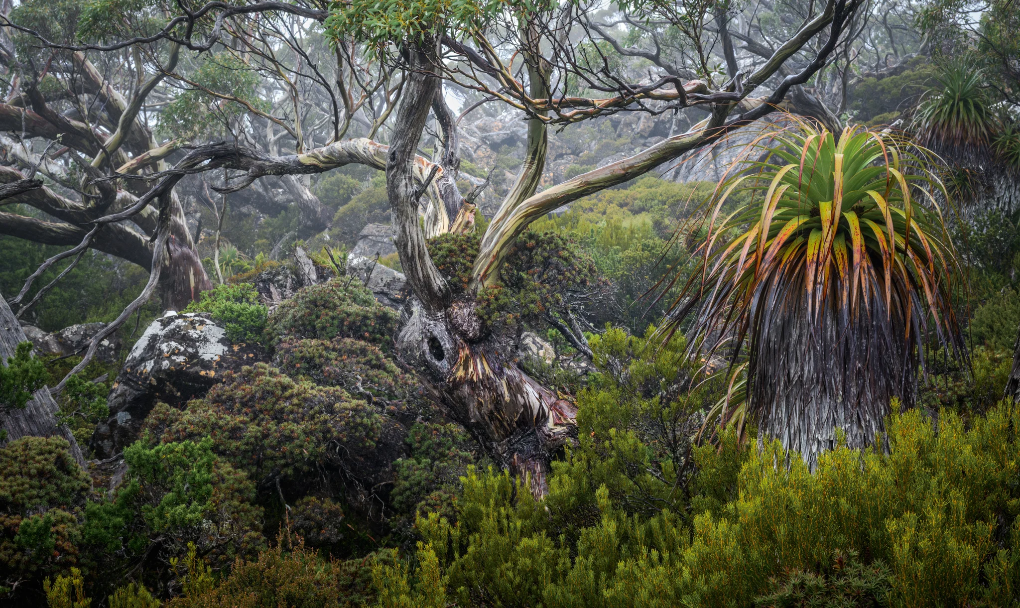 Конкурс Natural Landscape Photography Awards 2025