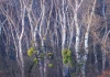 Конкурс Natural Landscape Photography Awards 2025