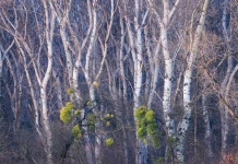 Конкурс Natural Landscape Photography Awards 2025