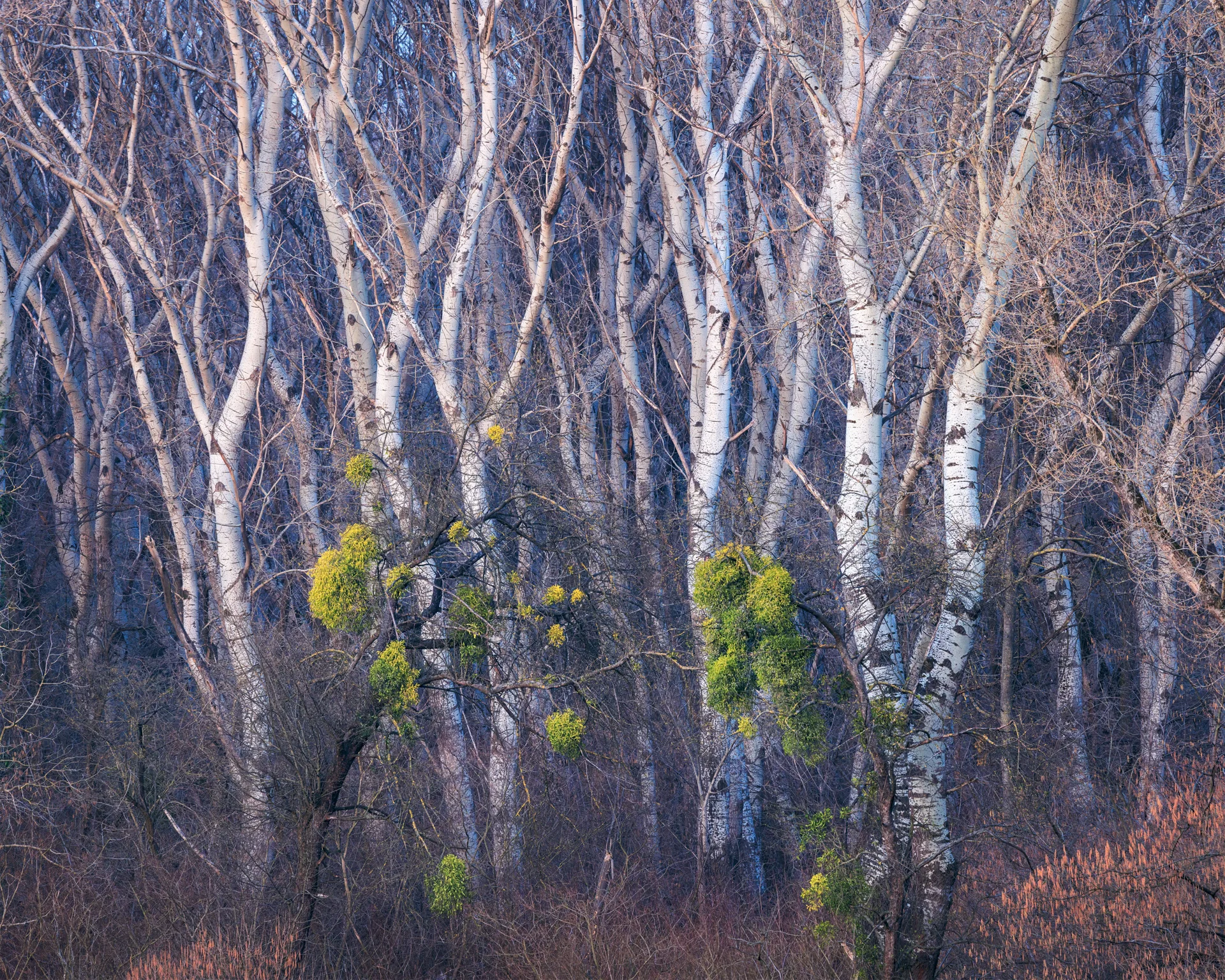 Конкурс Natural Landscape Photography Awards 2025