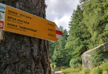 Европейският маршрут Е8 вече е с обновена маркировка между Боровец и Аврамово