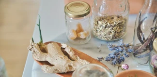 Билки за имунитет