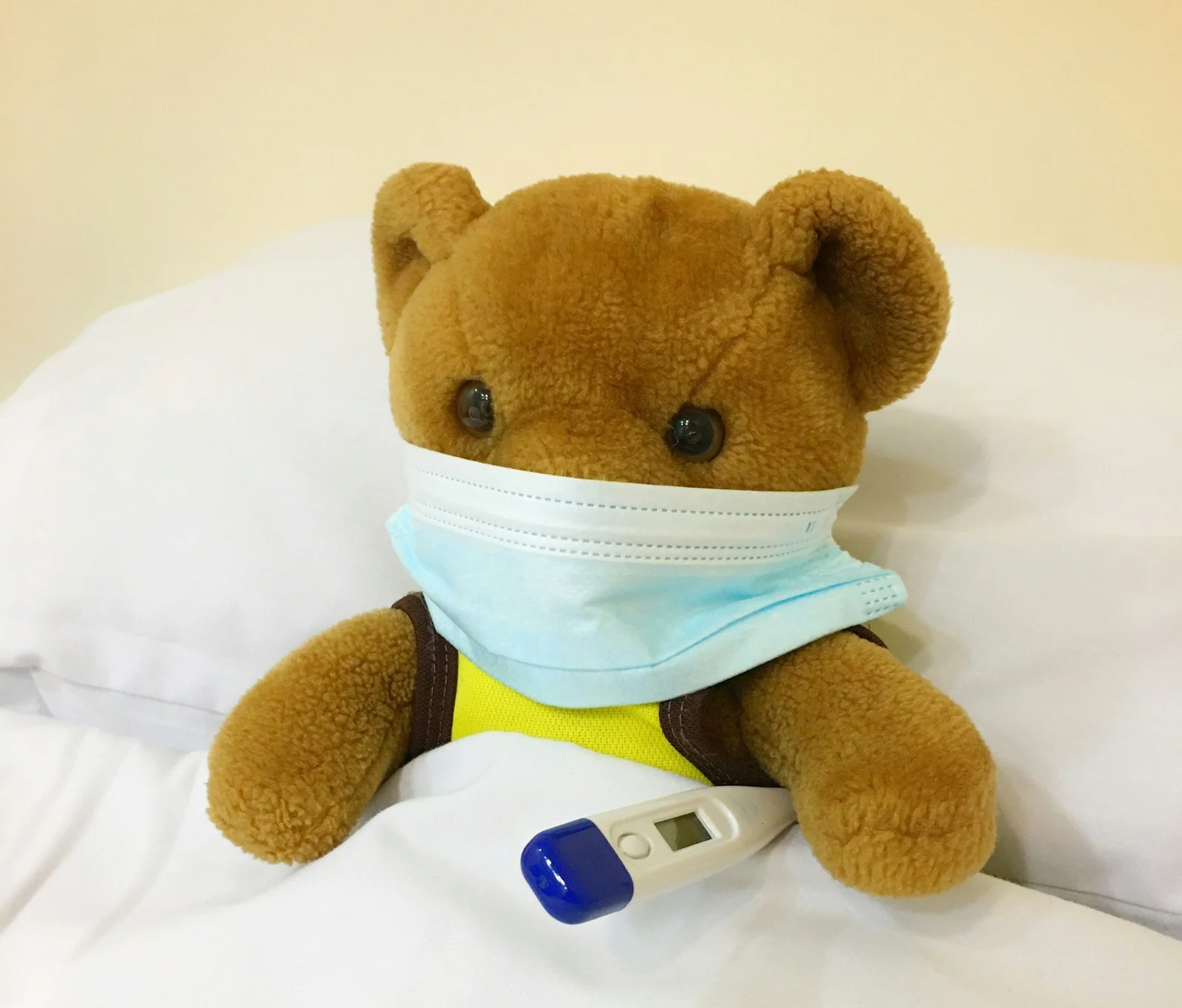 Билки за по-добър имунитет