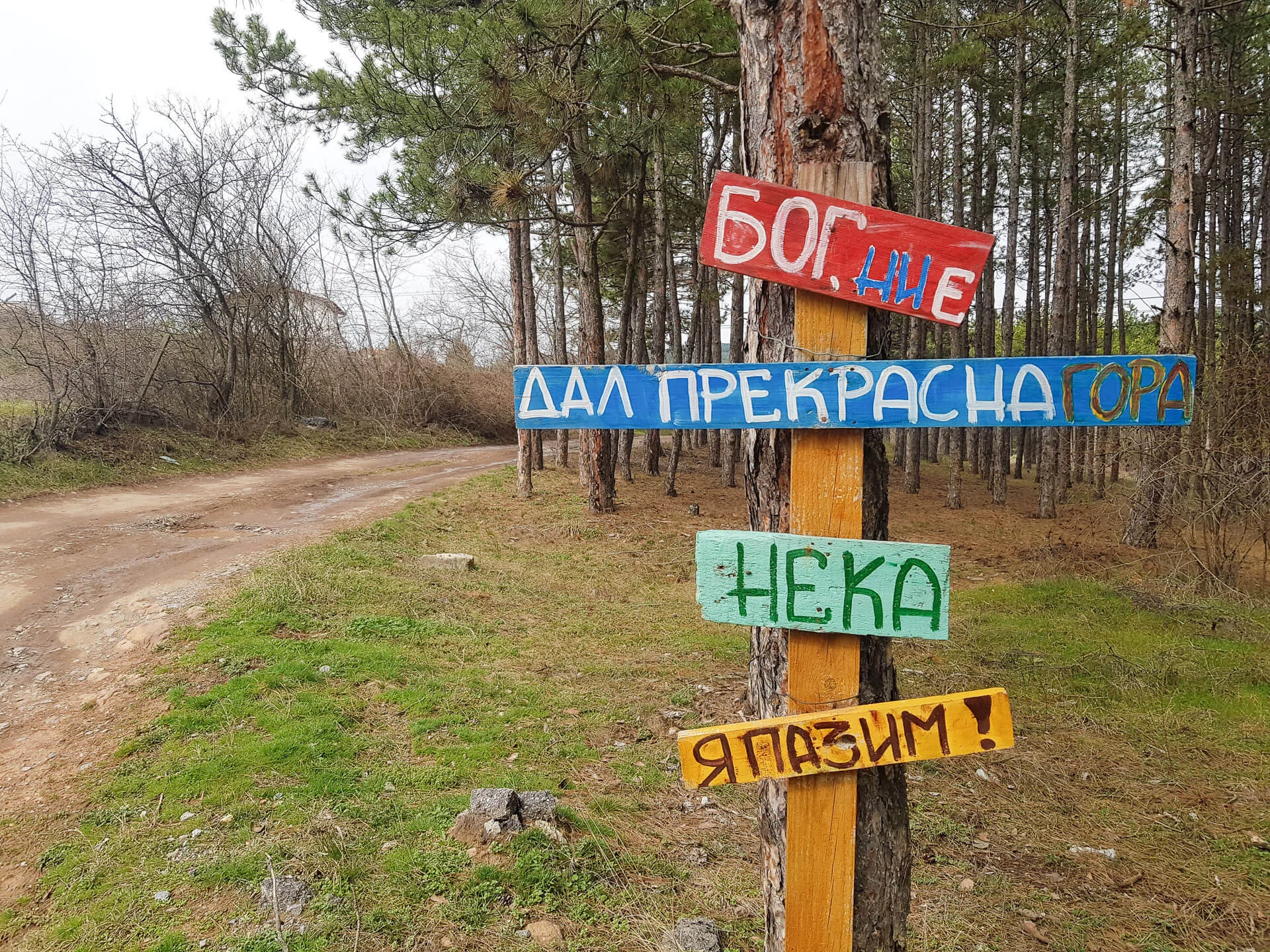 Кътина - Нови Искър