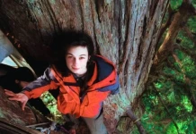 Джулия „Бътерфлай“ Хил живее 2 години върху дърво