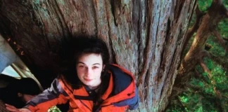 Джулия „Бътерфлай“ Хил живее 2 години върху дърво