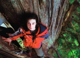 Джулия „Бътерфлай“ Хил живее 2 години върху дърво