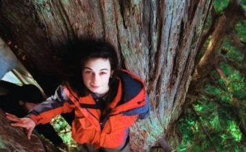 Джулия „Бътерфлай“ Хил живее 2 години върху дърво