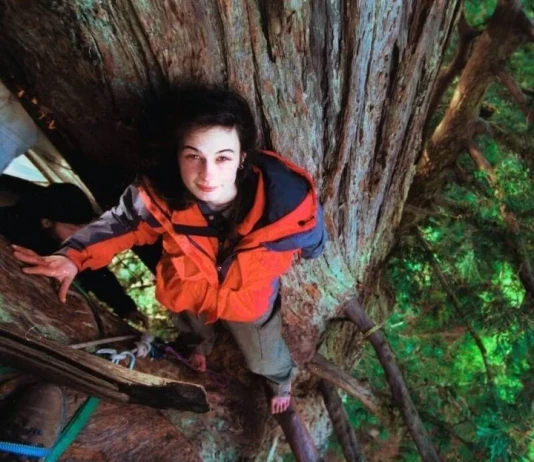 Джулия „Бътерфлай“ Хил живее 2 години върху дърво