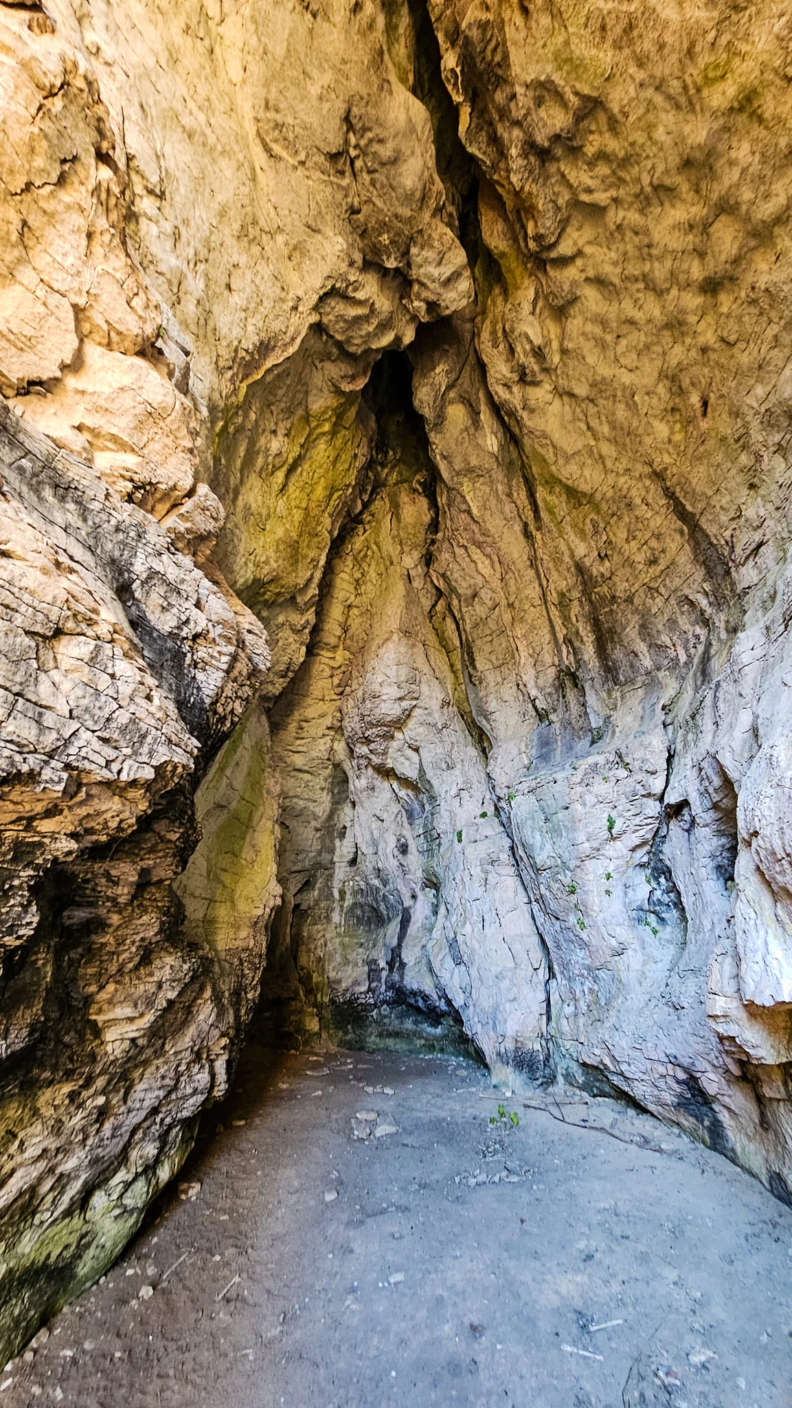 Входът на пещера Контрабаса