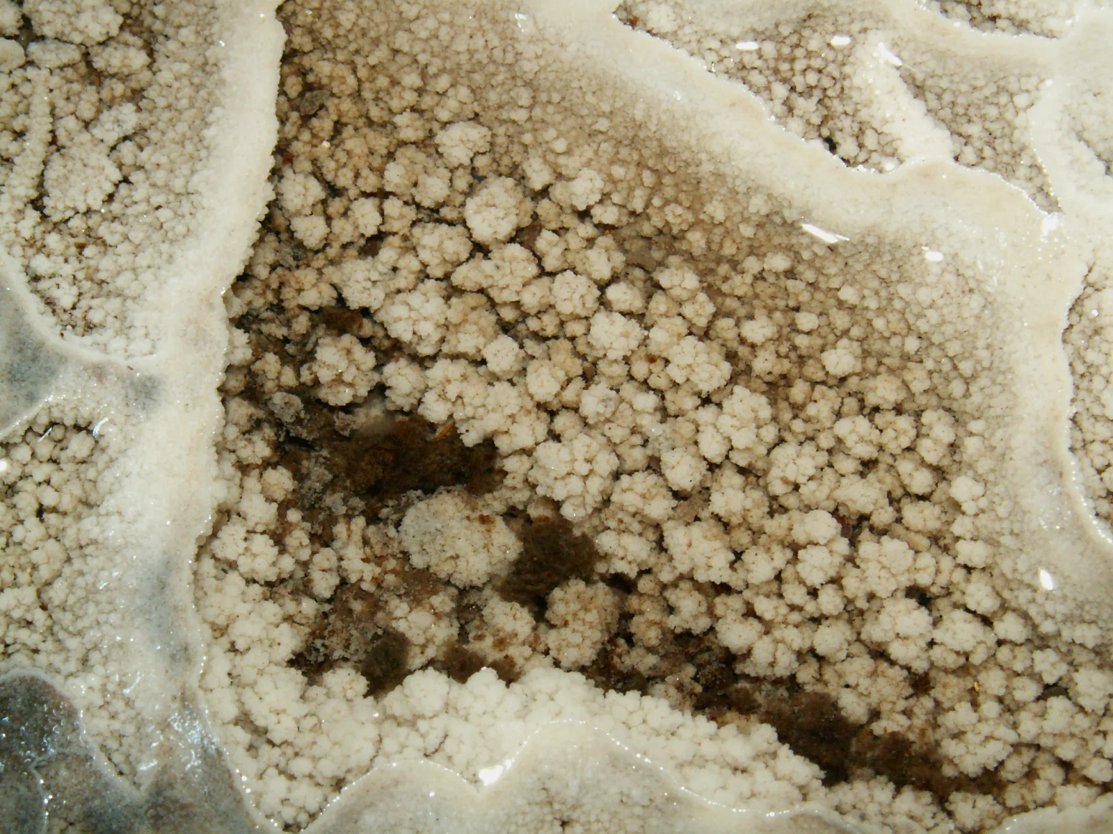 Синтрови образувания в пещера Контрабаса